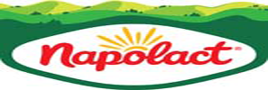 LOGO Napolact_logo standard_240527